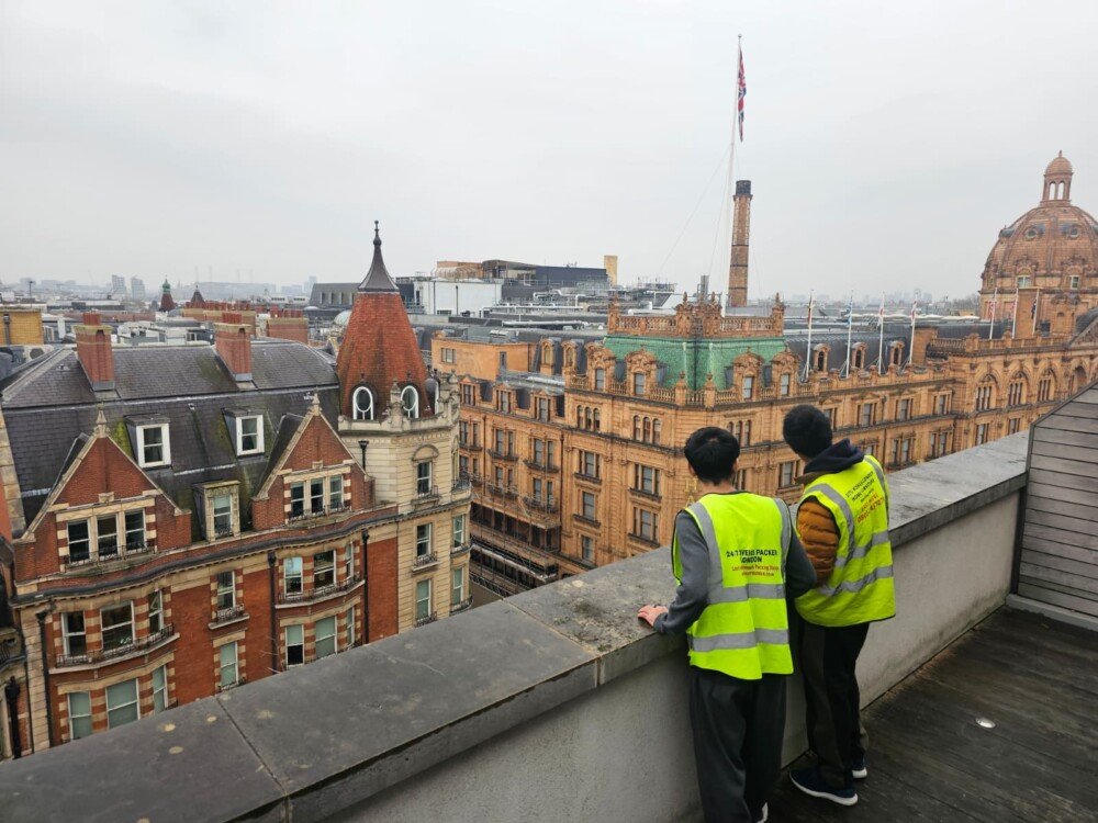 Professional Movers London